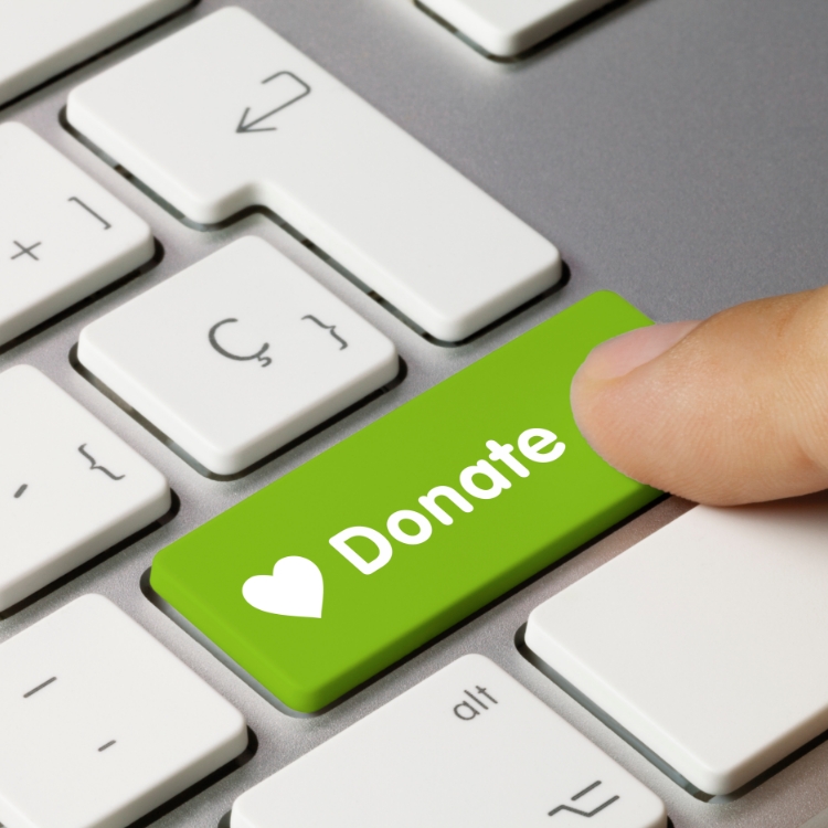 Person pressing a "Donate" button on keyboard. 